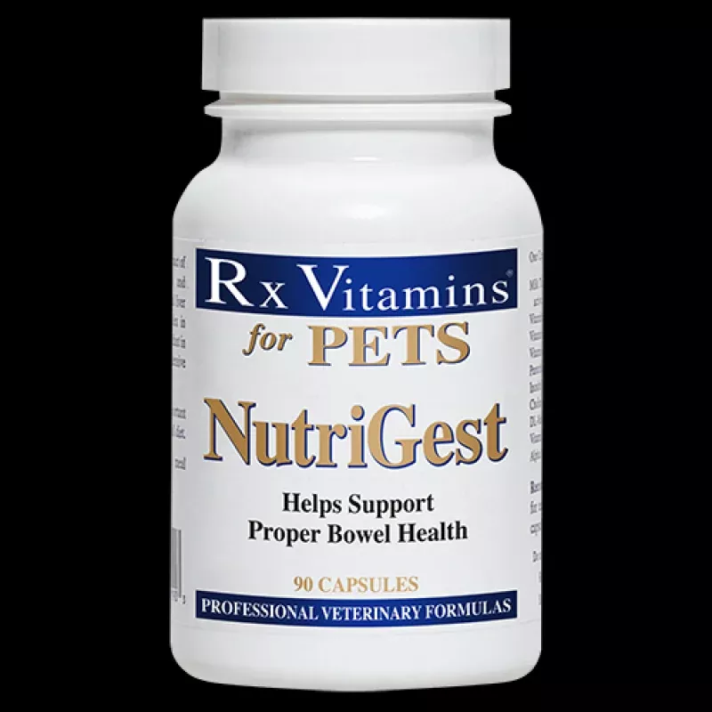 RX Vitamins NutriGest (90 Capsules)