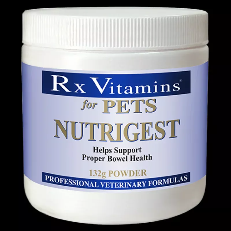 RX Vitamins Nutrigest Bulk Powder 132g