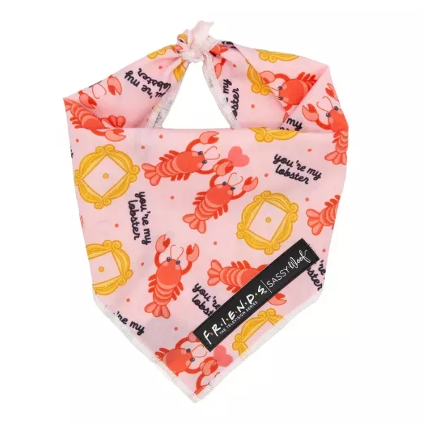 Sassy Woof Dog Bandana - Friends™ Lobster