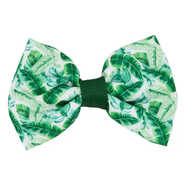 Sassy Woof Dog Bowtie - Verano