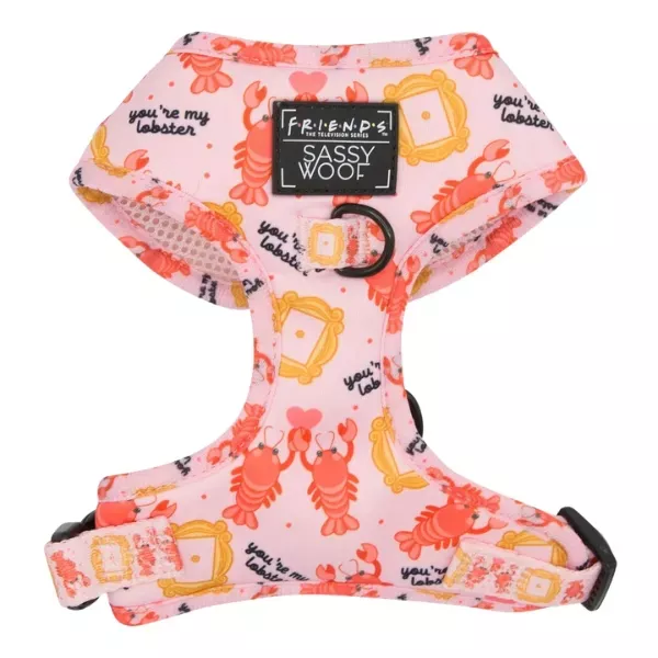 Sassy Woof Dog Harness - Friends™ Lobster