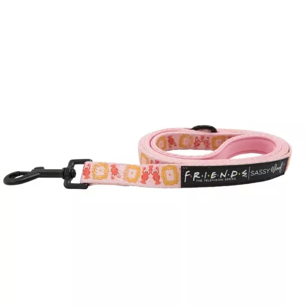 Sassy Woof Dog Leash - Friends™ Lobster