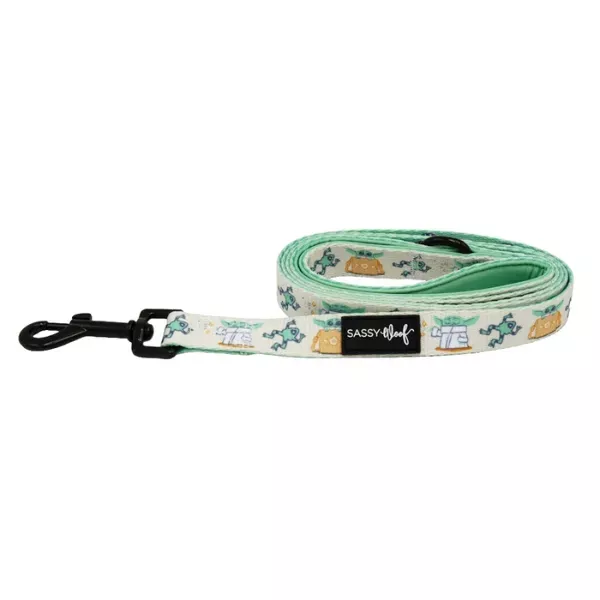 Sassy Woof Dog Leash - STAR WARS™ The Child™