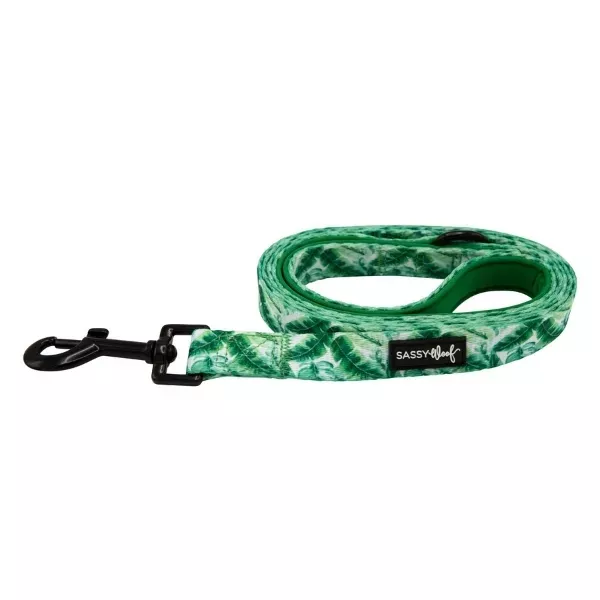 Sassy Woof Dog Leash - Verano