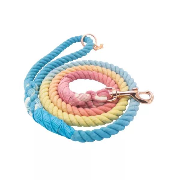 Sassy Woof Dog Rope Leash - Bright