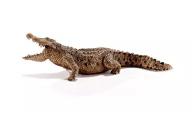 Schleich – Crocodile