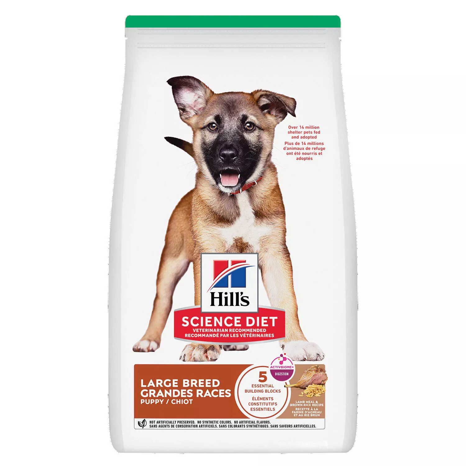 Science Diet, Puppy Large Breed Lamb Meal & Brown Rice Recipe - Dry Dog Food