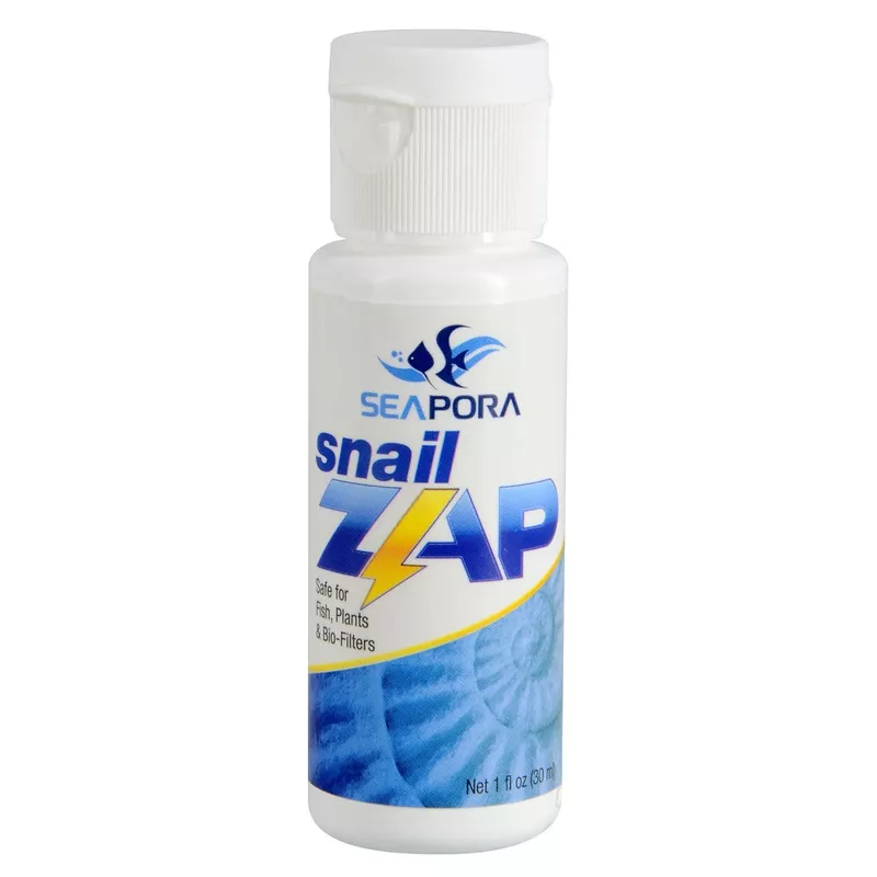 Seapora Snail Zap – 1 fl oz