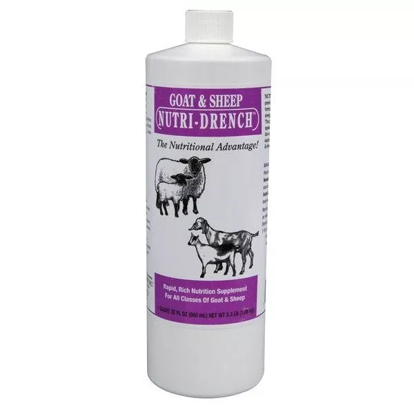 Sheep Nutri-Drench