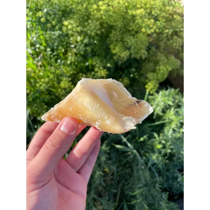 Sheepfat Filled Cow Hooves