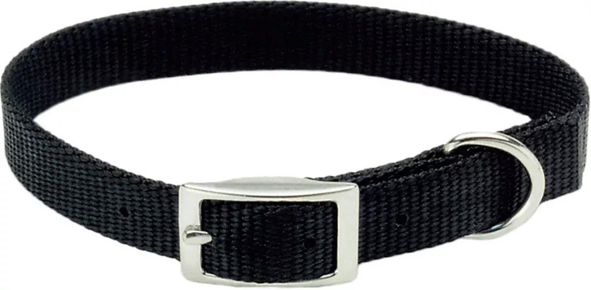 Single Ply Dog Collar
