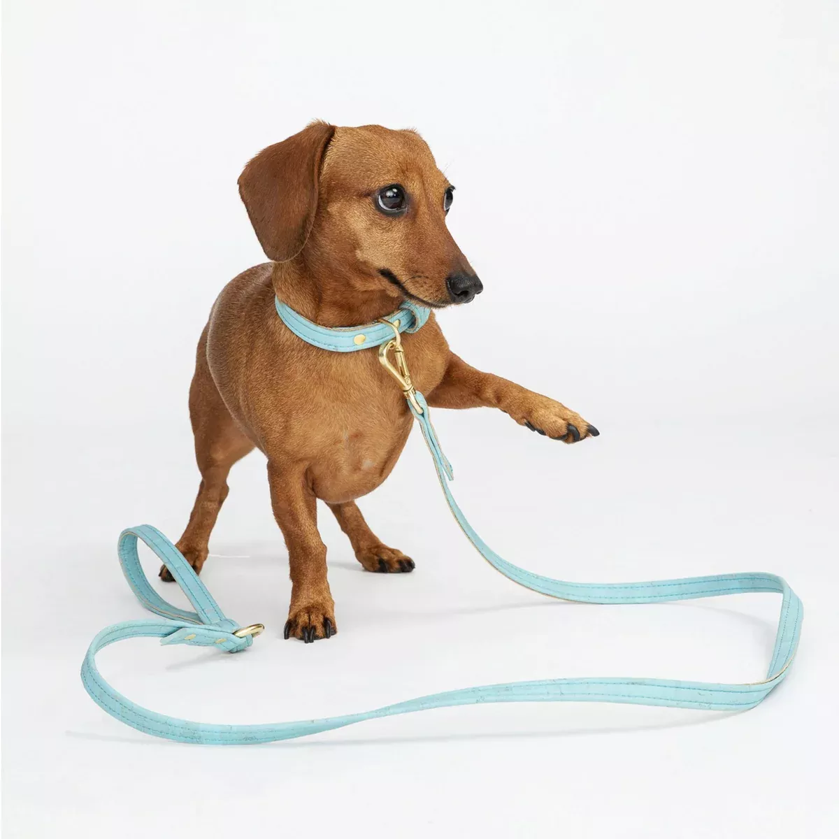 Sky Blue Cork Leather Leash