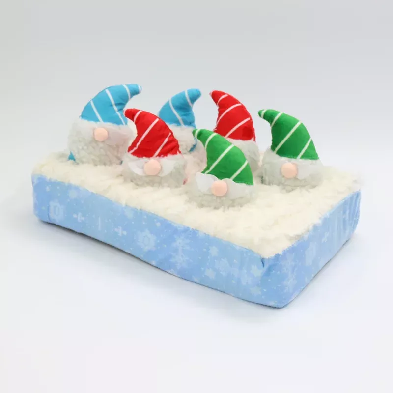 Snow with Gnomes