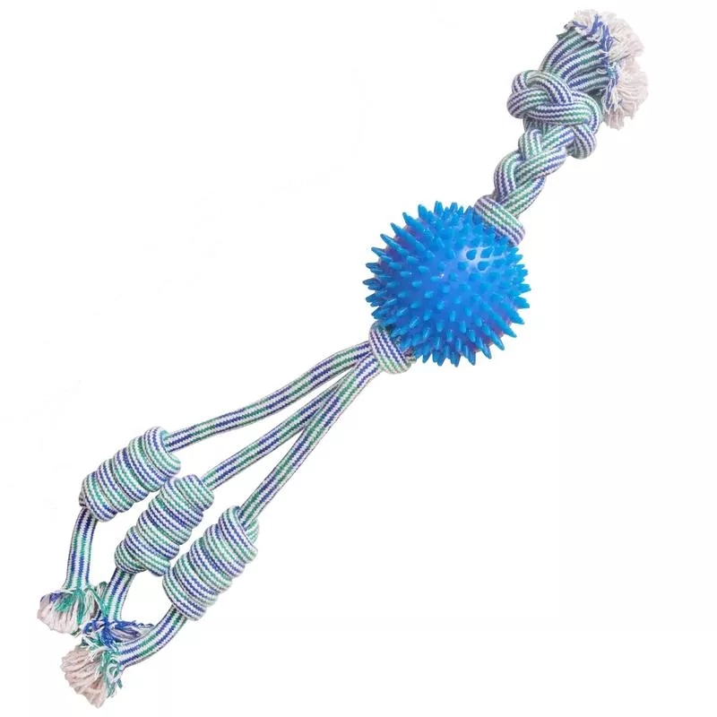 Snugarooz Feel'N Spikey Dog Toy