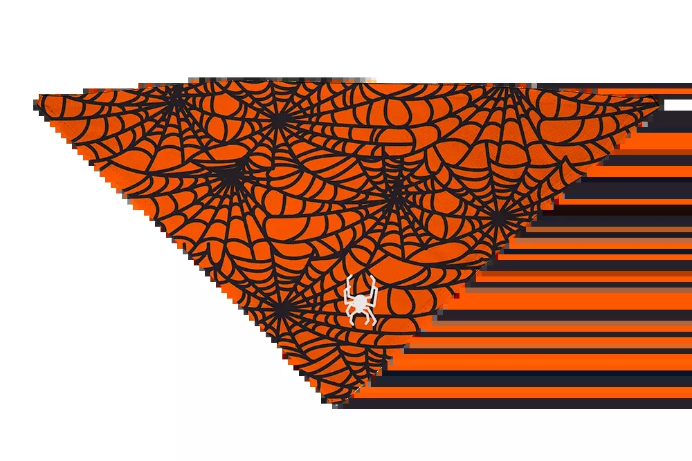 Spider Web Orange Dog Bandana