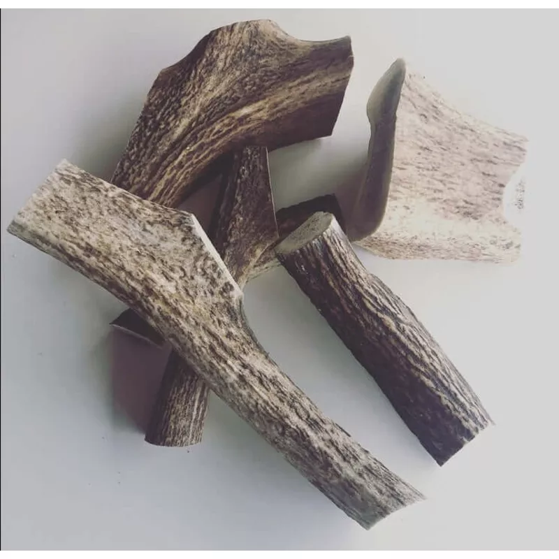 Split Antlers