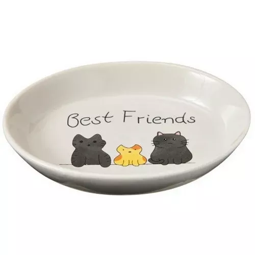 Spot, Spot Best Friends Oval Cat Dish, 1 Each/6 in