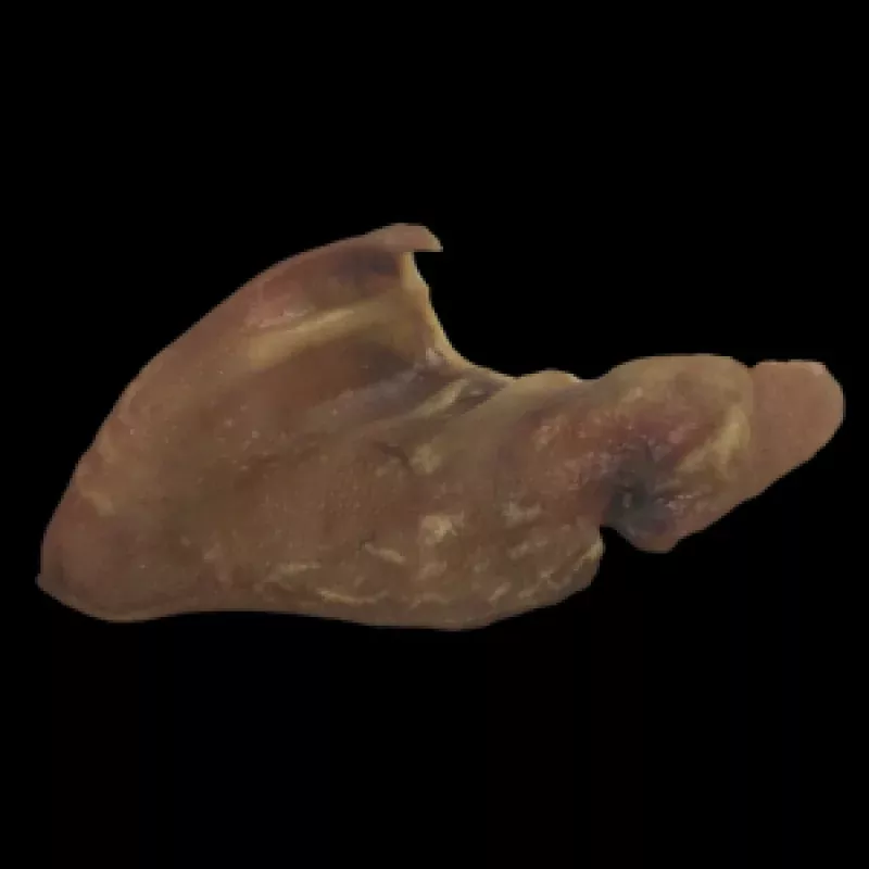 Spotlight Pig Ears Bulk