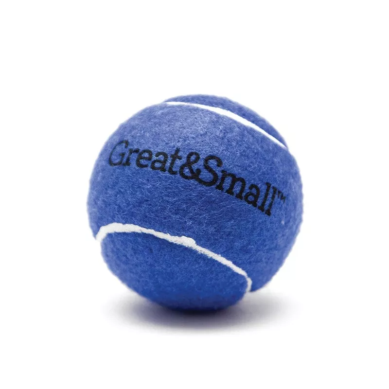 Squeaky Blue Tennis Ball 3-Pack – Dog Fetch Toy