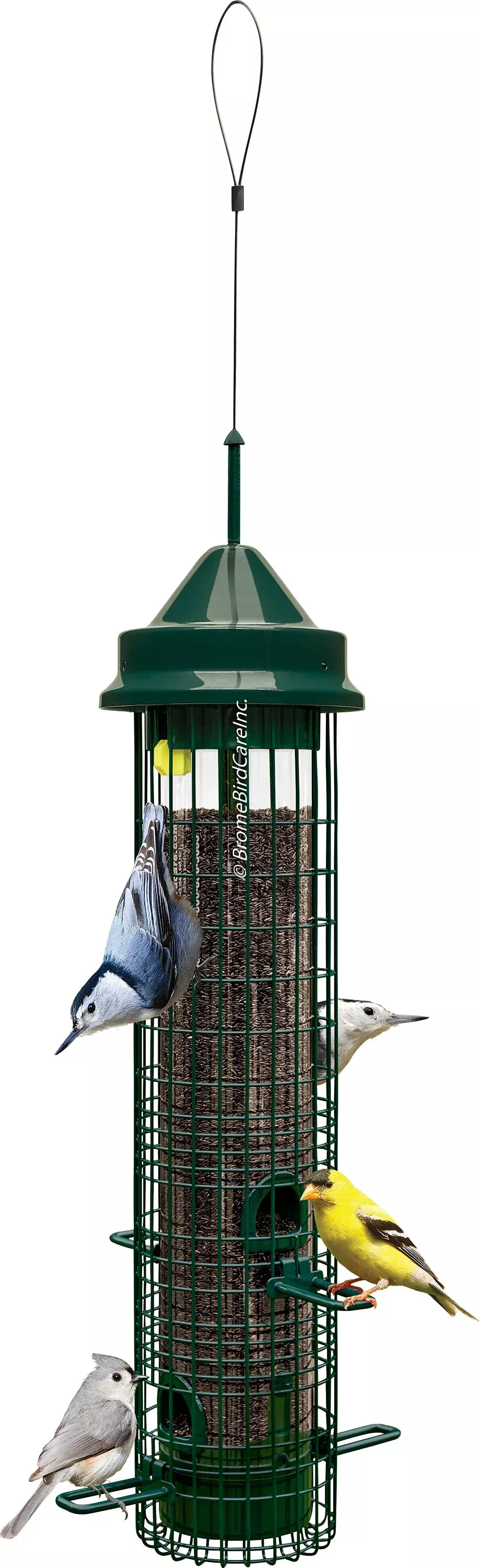 Squirrel Buster Classic Wild Bird Feeder