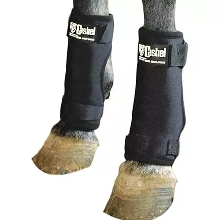 STALL HORSE BOOTS