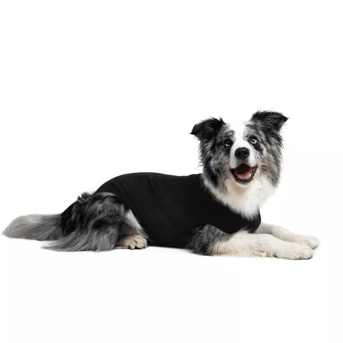 Suitical Recovery Suit For Dogs