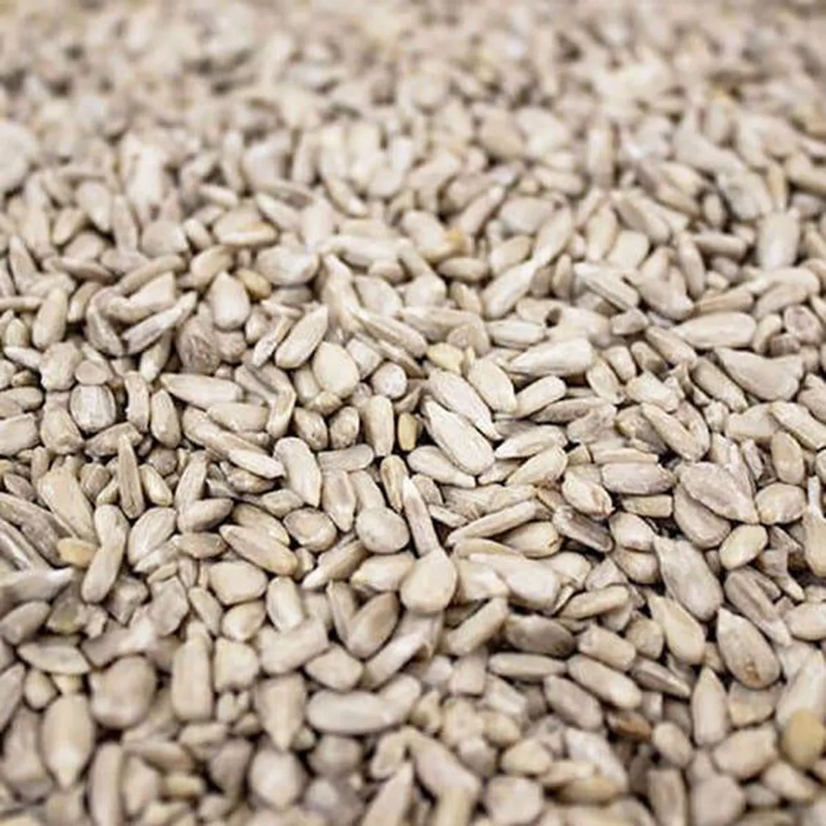 Sunflower Hearts 20kg