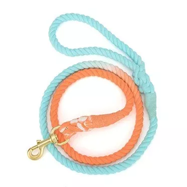 Sunset Wave Tie Dye Dog Leash - Glow Pups