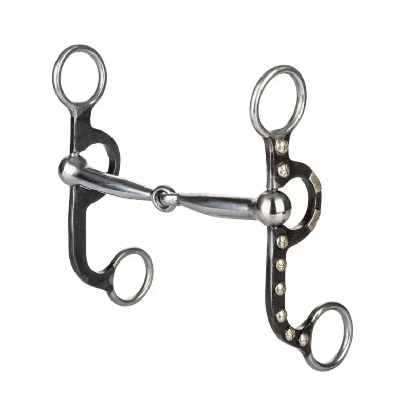 Tabelo Argentine Curb Bit 5