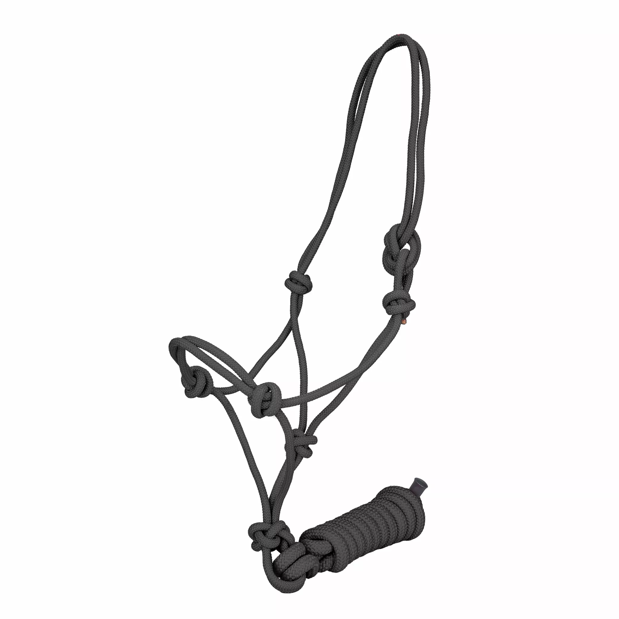 Tabelo Draft Rope Halter with Lead