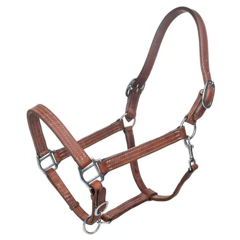 Tabelo Leather Halter with Adj Chin Snap
