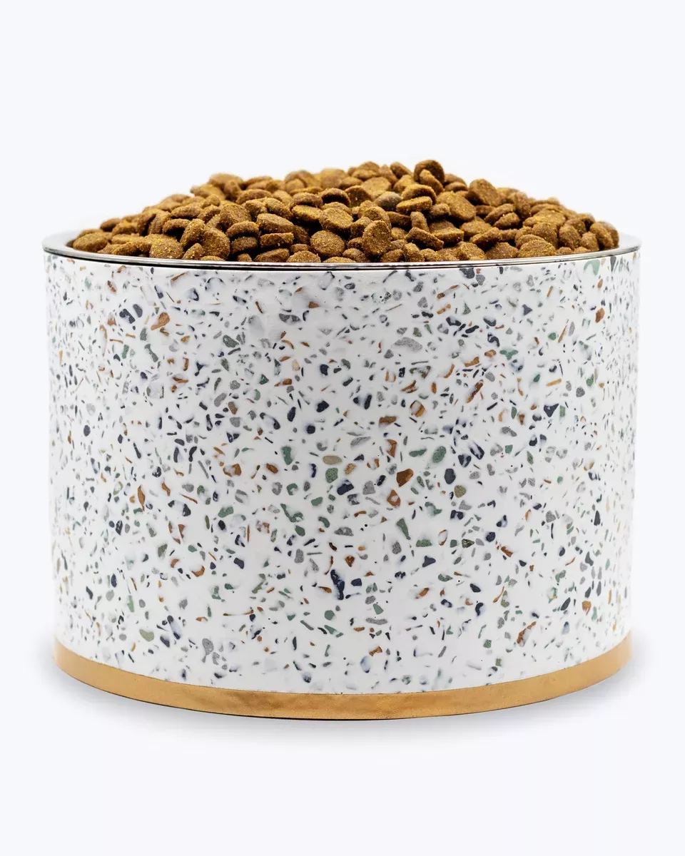 Terrazzo Modern Elevated Dog Bowl