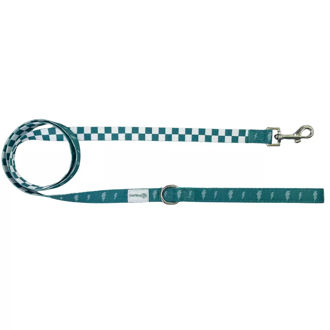 Thunderstruck Leash