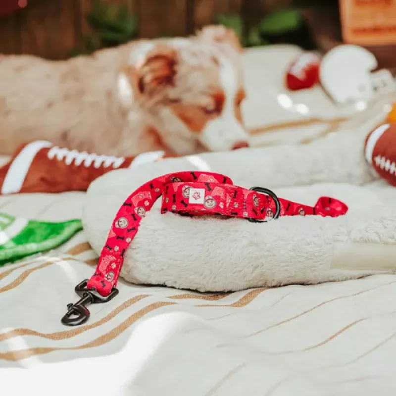 Top Rocks Red Brutus With Paws & Bones Pet Leash