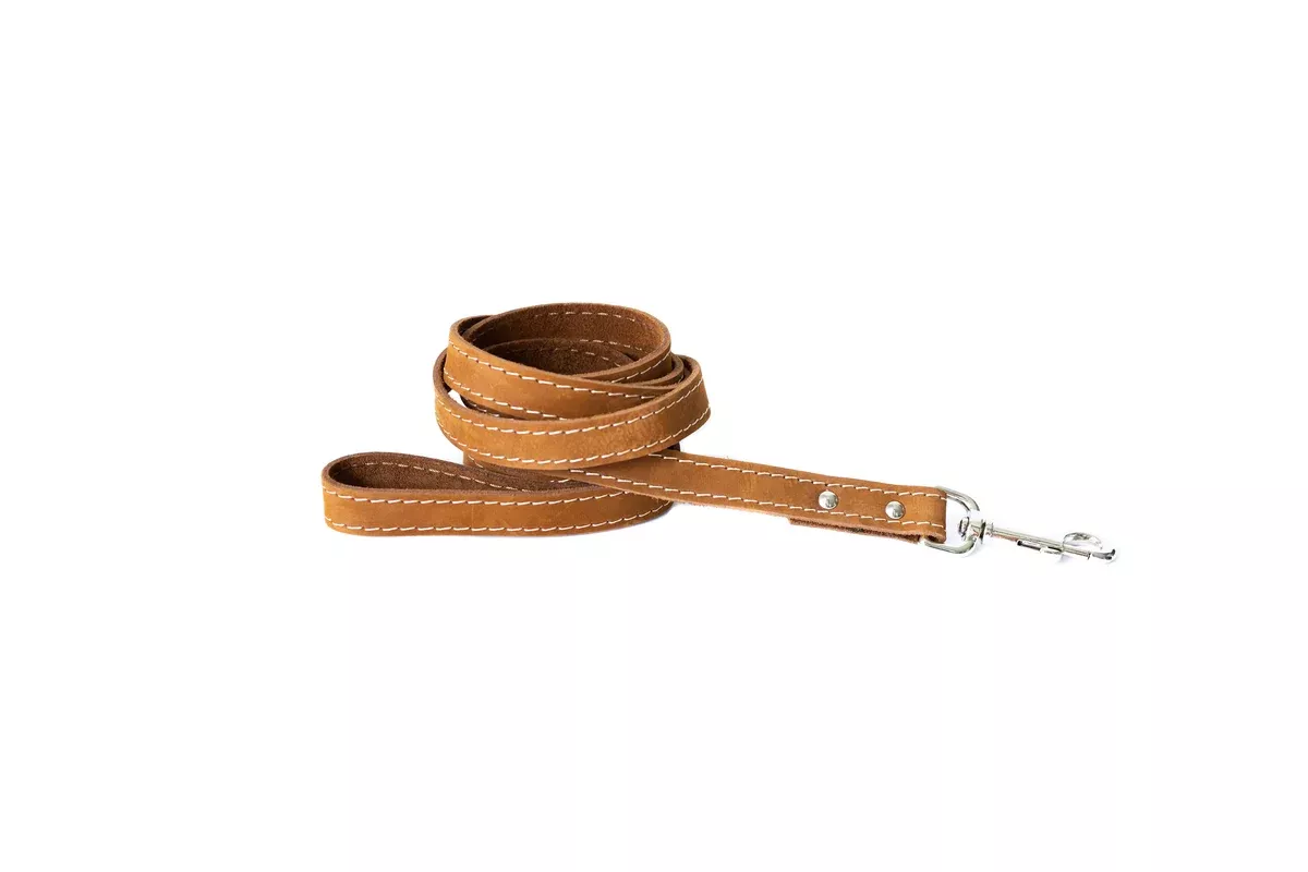 Traditional Earth Brown Leather Dog Leash