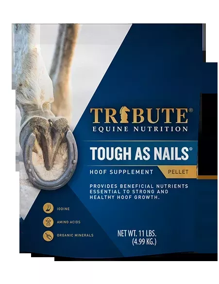 Tribute Tough As Nails