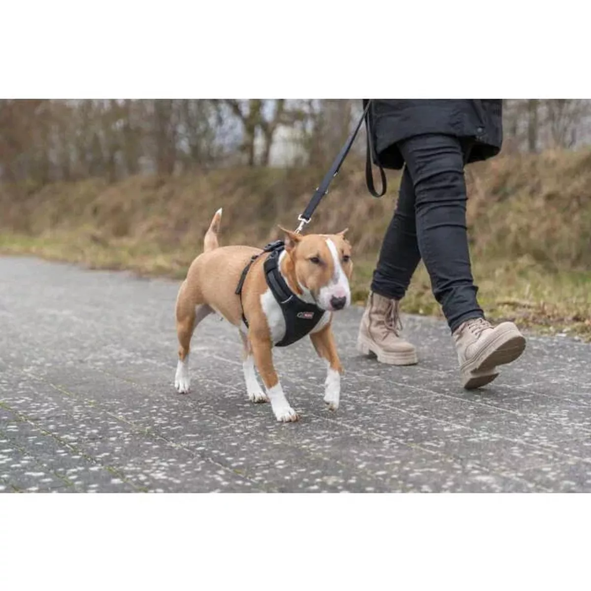 Trixie Premium FlexMesh Harness