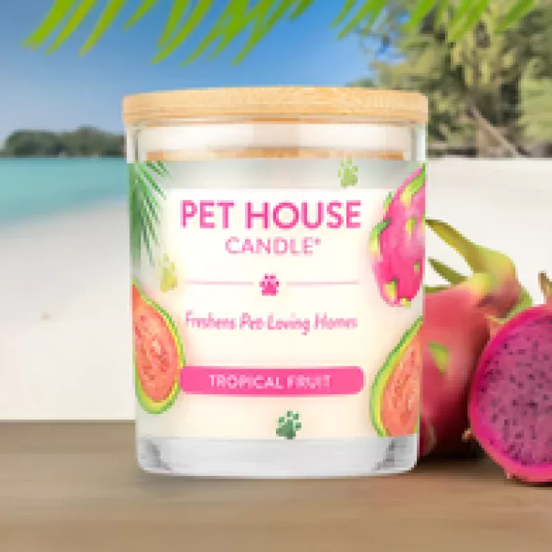 Tropical Fruit Candle