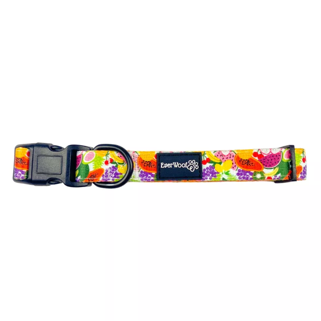 Tutti Frutti Collar