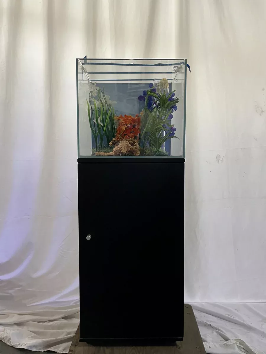 ULTRA CLEAR GLASS - 18 gallon cube fish tank aquarium full setup w/ filtration