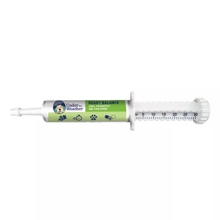 Under the Weather Ready Balance Probiotic for Dogs 30cc