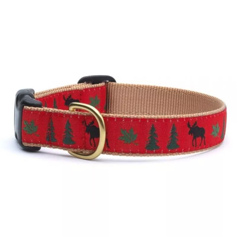 UpCountry D Collar Moose M 1″