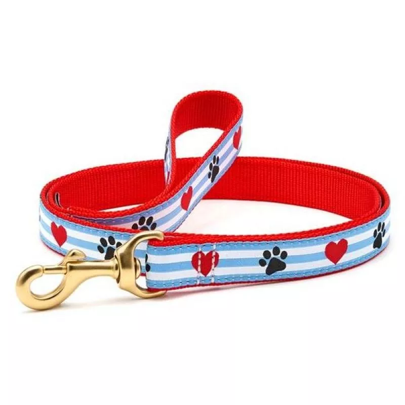 UpCountry D Lead Pawprint Stripe 5′
