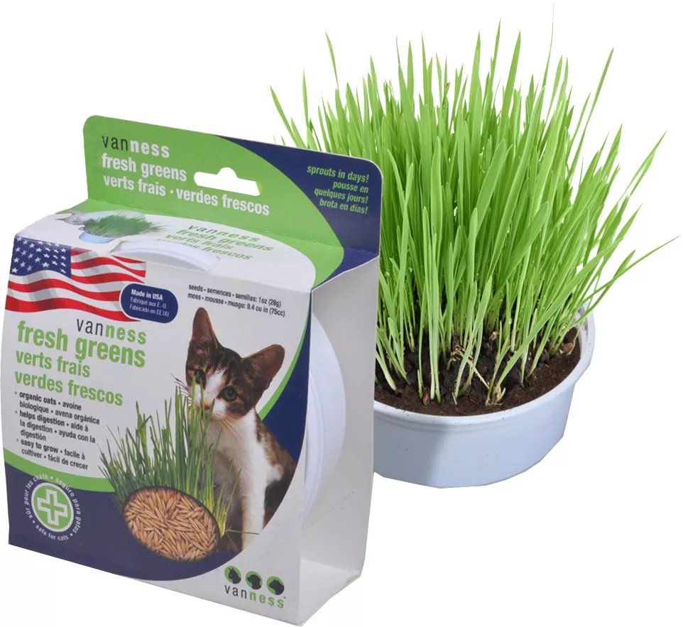 Van Ness Oat Garden Kit