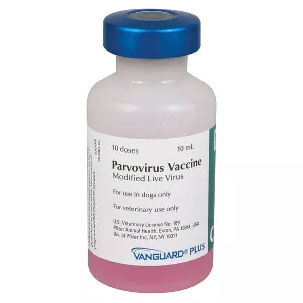 Vanguard Plus CPV Canine Vaccine - 10 Dose Vial