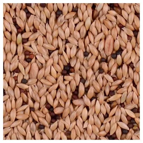 Volkman Seed Company, Bird's Delight Parakeet 25% Food, 20 Lbs