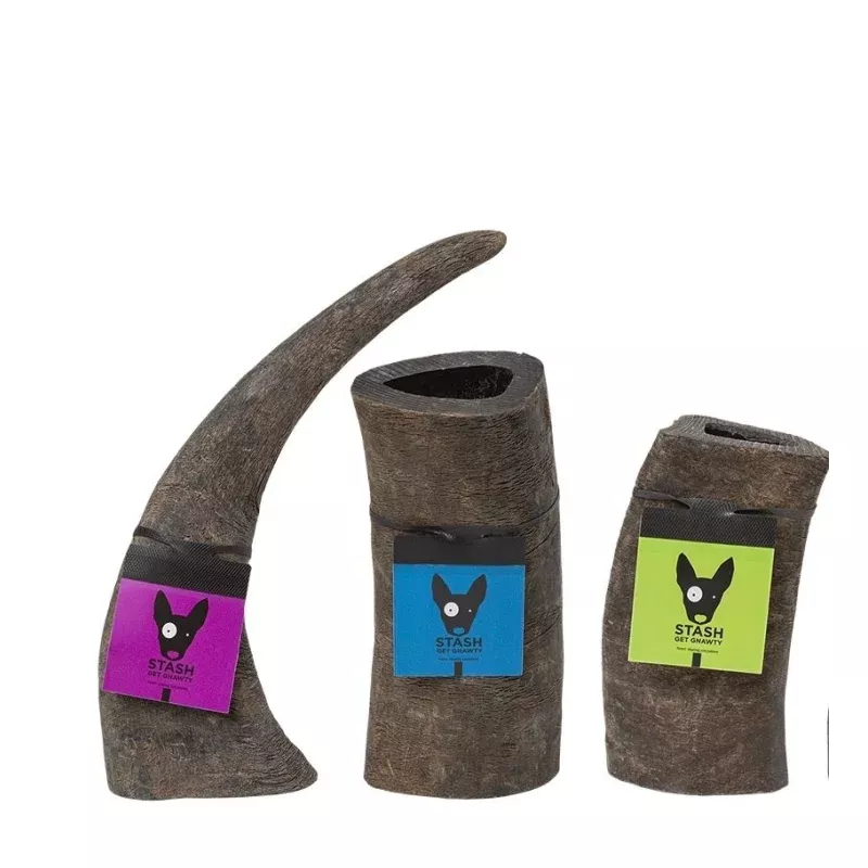 Water Buffalo Horns