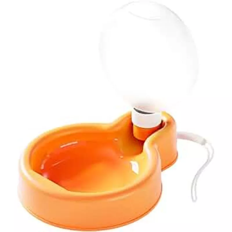 Water Dispenser Bottle Balloon & bowl