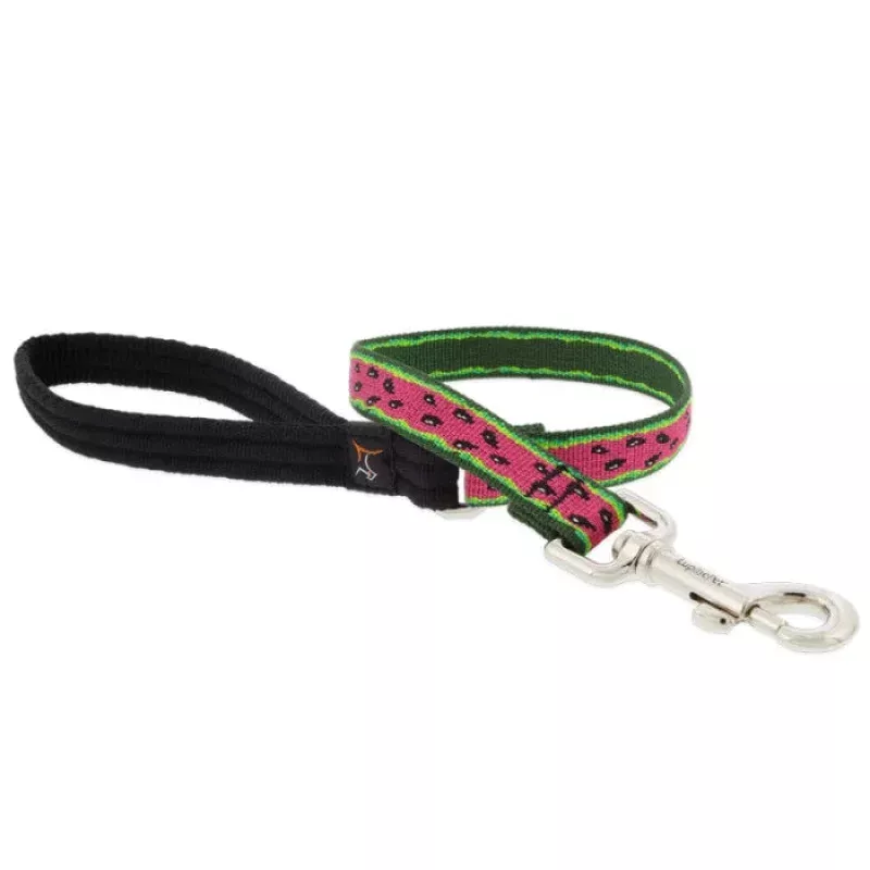 Watermelon Leash