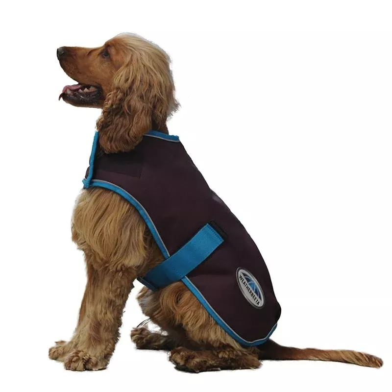 WB Comfitec Premier Parka Dog Coat 24 Purple/Blue